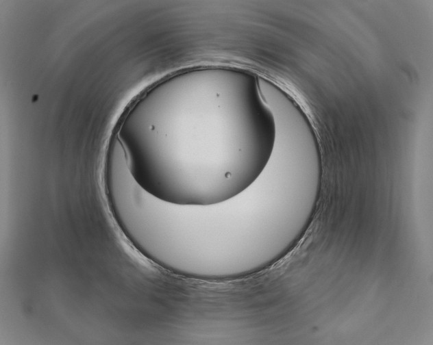 X0000111511136200908041217