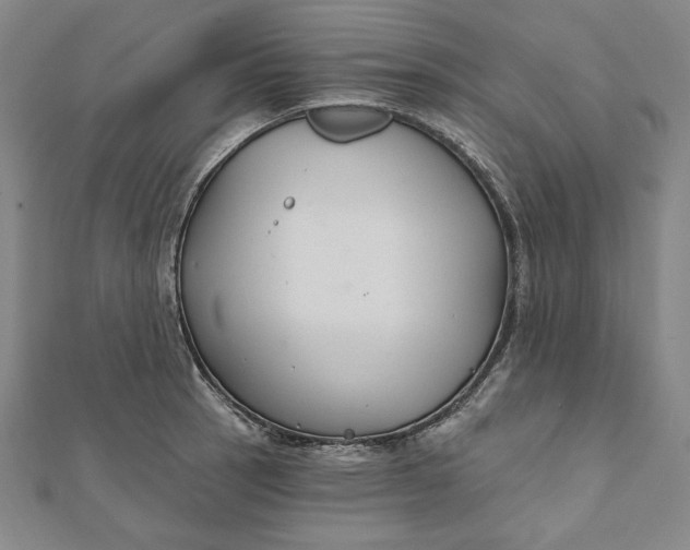 X0000111511137200908041217