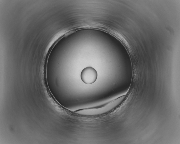 X0000111511138200908041217