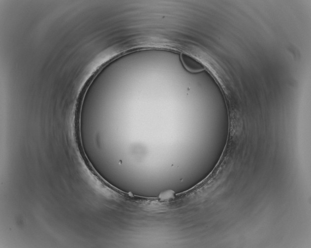 X0000111511139200908041217