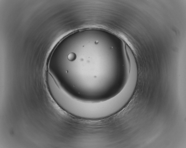 X0000111511140200908041217