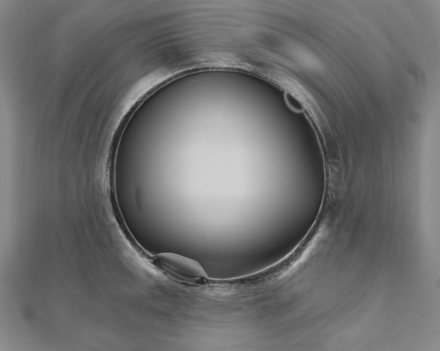 X0000111511141200908041217
