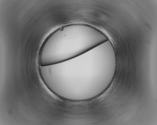 X0000111511142200908041217