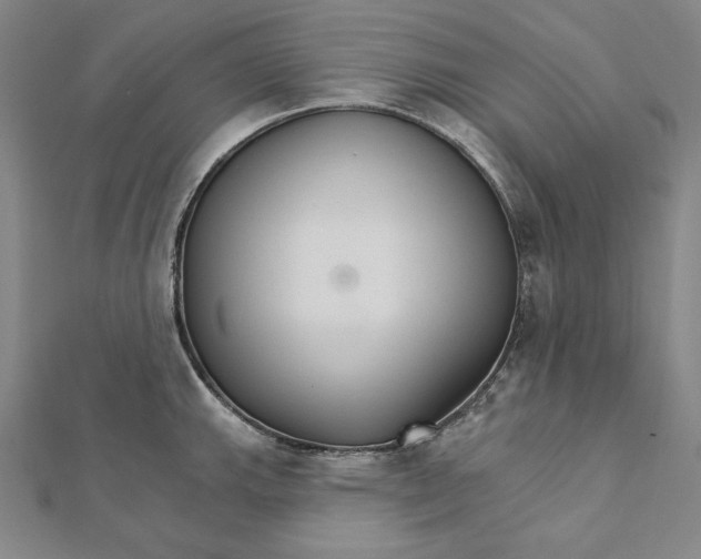 X0000111511143200908041217