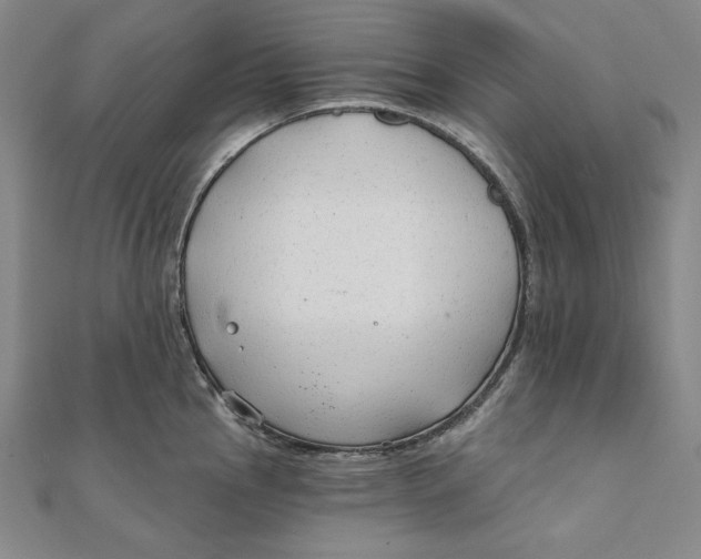 X0000111511145200908041217