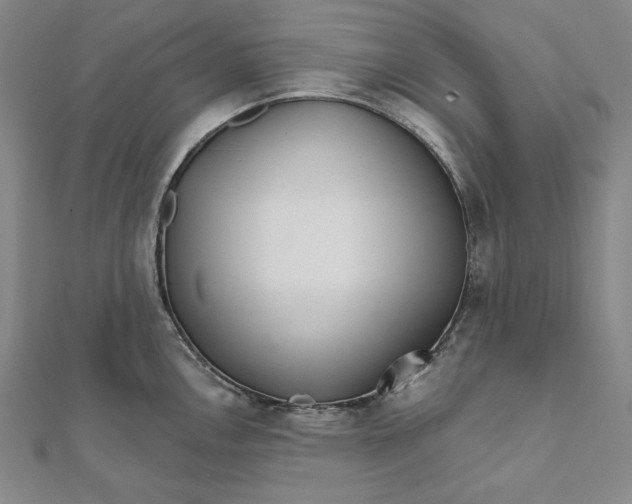 X0000111511146200908041217