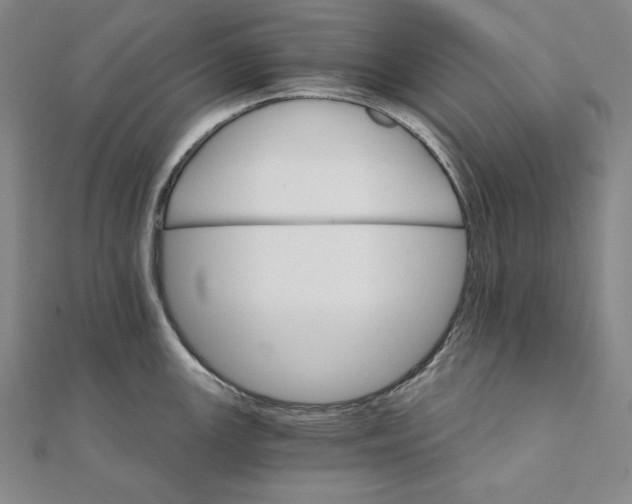 X0000111511147200908041217