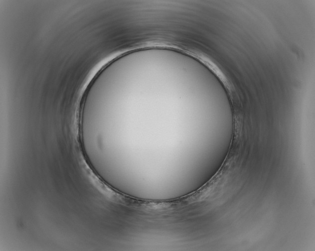 X0000111511148200908041217
