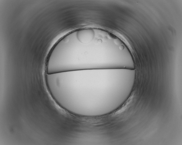 X0000111511149200908041217