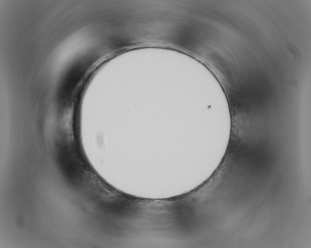 X0000111511150200908041217