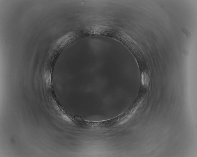 X0000111511155200908041216