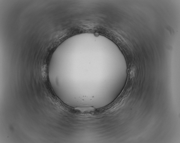 X0000111511156200908041216