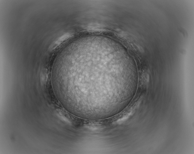 X0000111511157200908041216