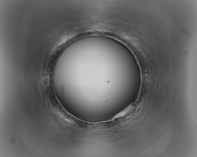 X0000111511159200908041216