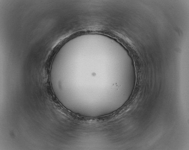 X0000111511160200908041216