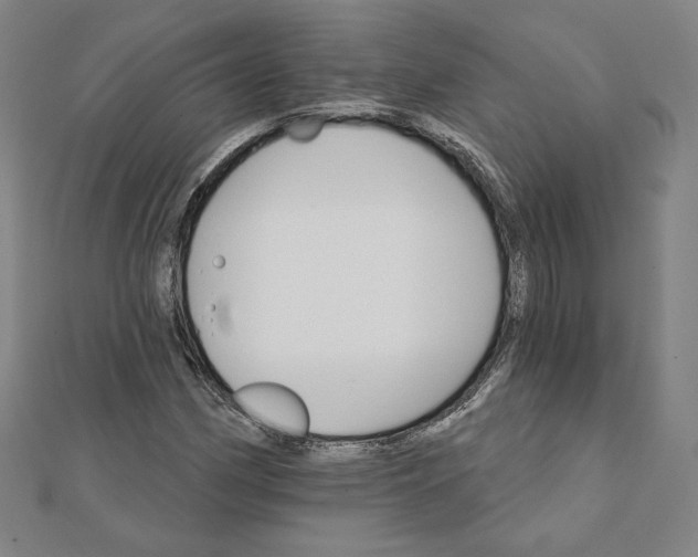 X0000111511162200908041216