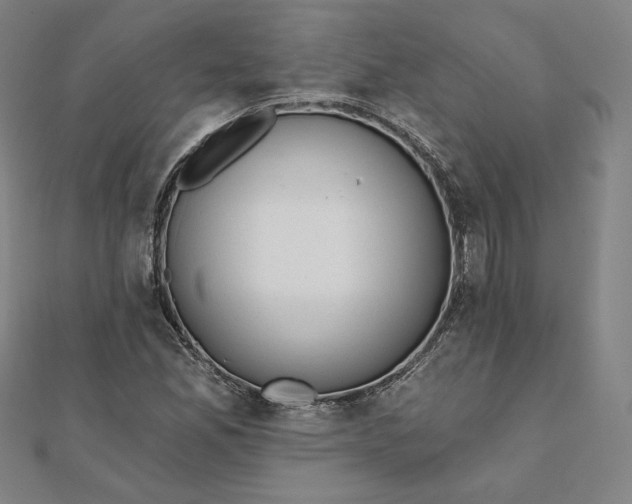 X0000111511165200908041216