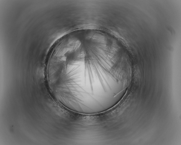X0000111511166200908041216