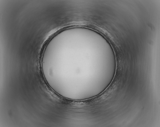 X0000111511168200908041216