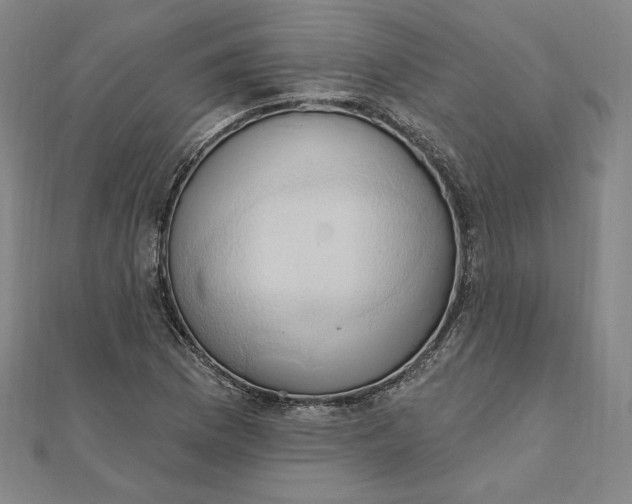 X0000111511169200908041216