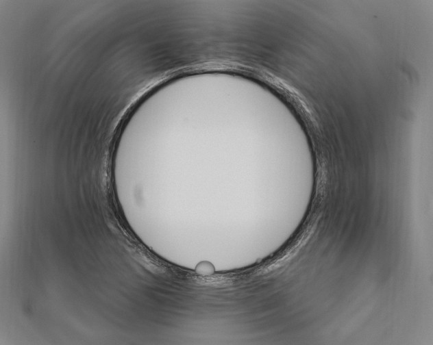 X0000111511170200908041216