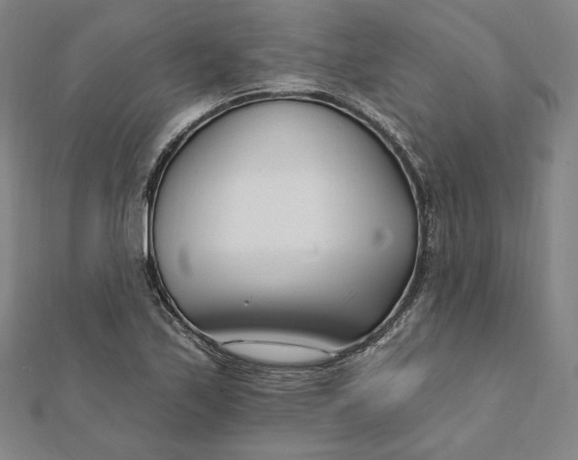 X0000111511171200908041216