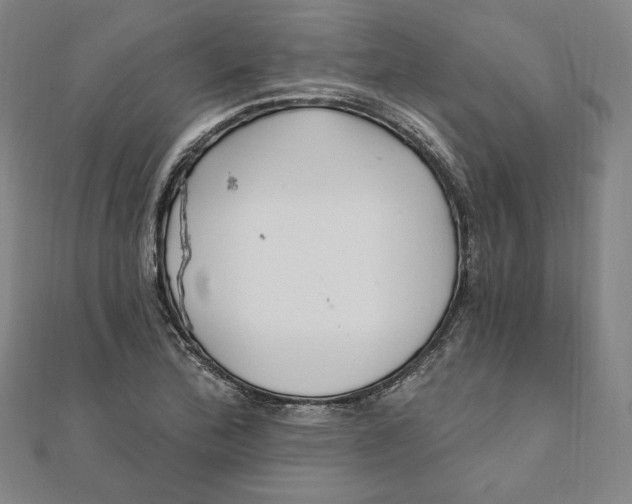 X0000111511172200908041216