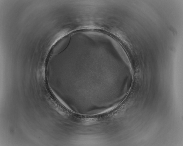 X0000111511173200908041216
