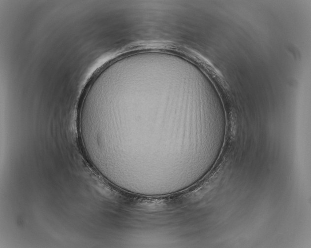 X0000111511174200908041216