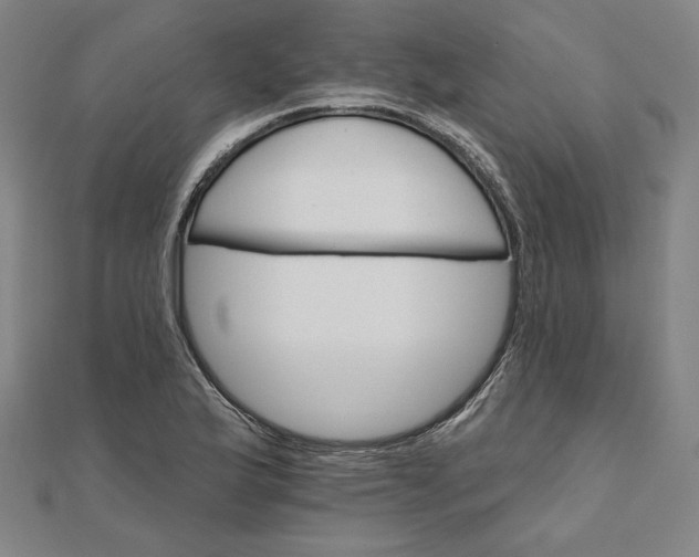 X0000111511175200908041216