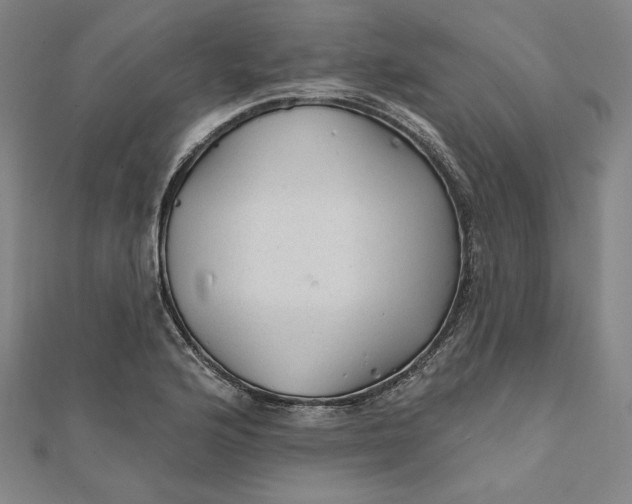 X0000111511176200908041216