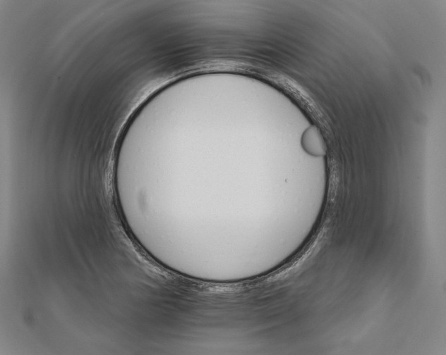 X0000111511178200908041216