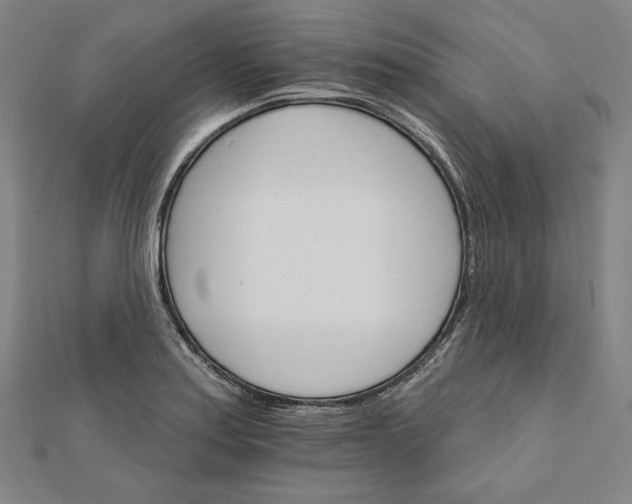 X0000111511179200908041216