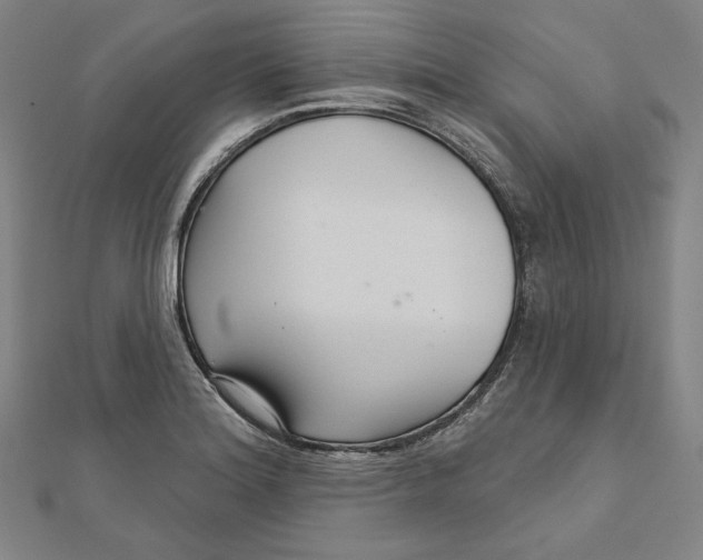 X0000111511180200908041216
