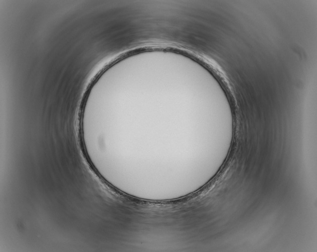 X0000111511183200908041216
