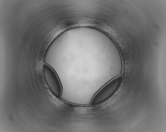 X0000111511185200908041216