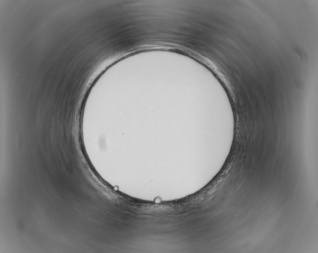 X0000111511187200908041216