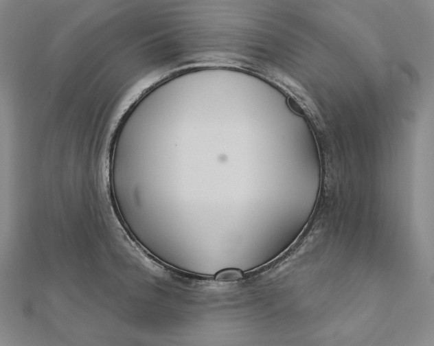 X0000111511188200908041216