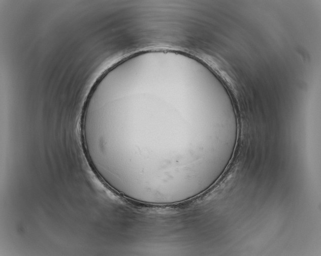 X0000111511189200908041216