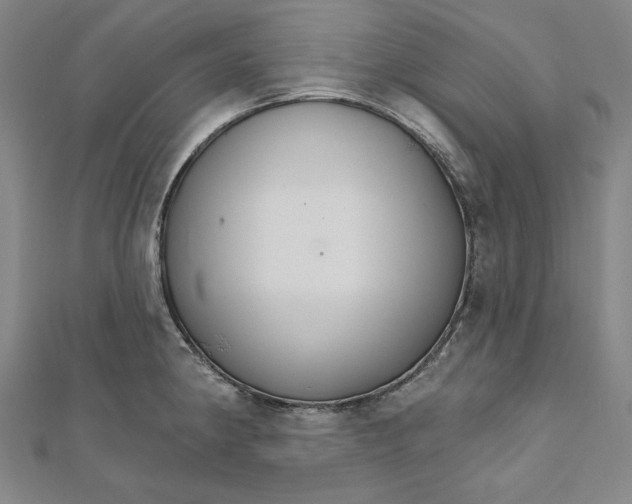 X0000111511190200908041216