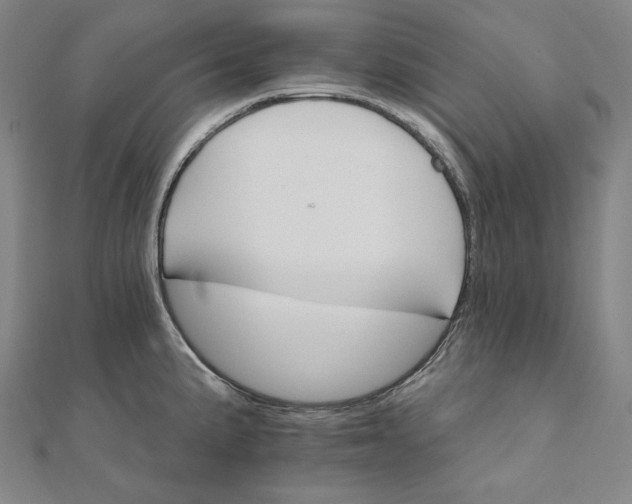 X0000111511191200908041216