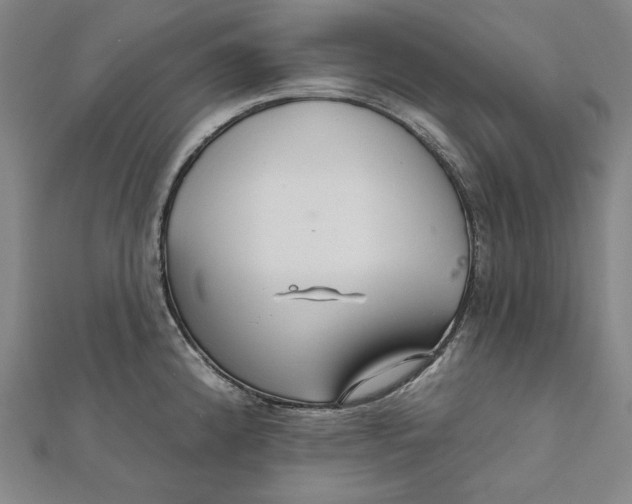 X0000111511192200908041216
