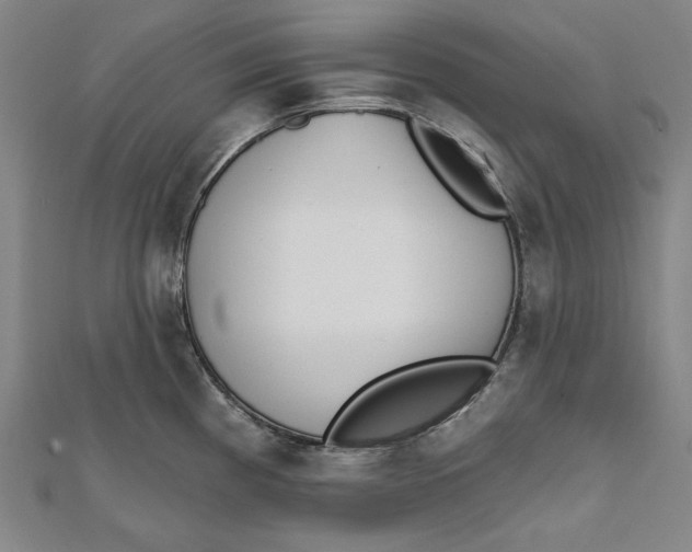 X0000111511193200908041216