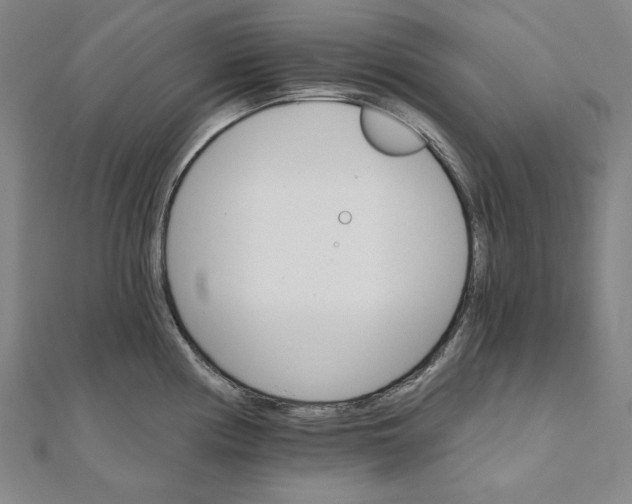 X0000111511194200908041216