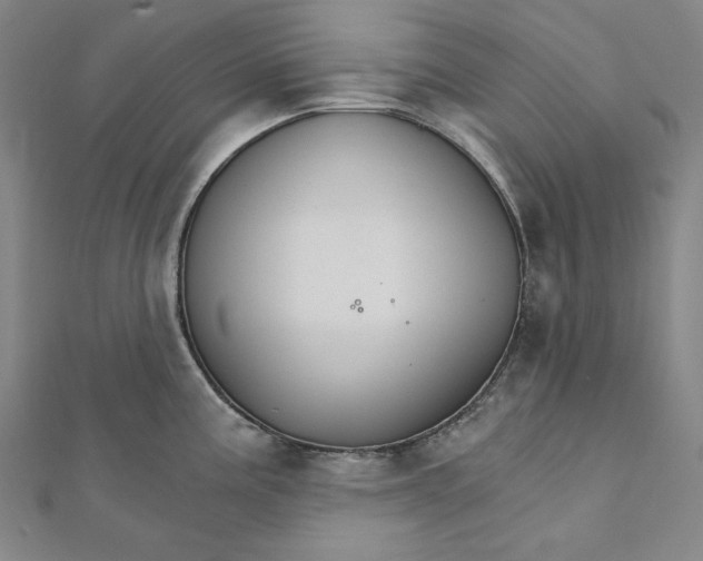 X0000111511195200908041216