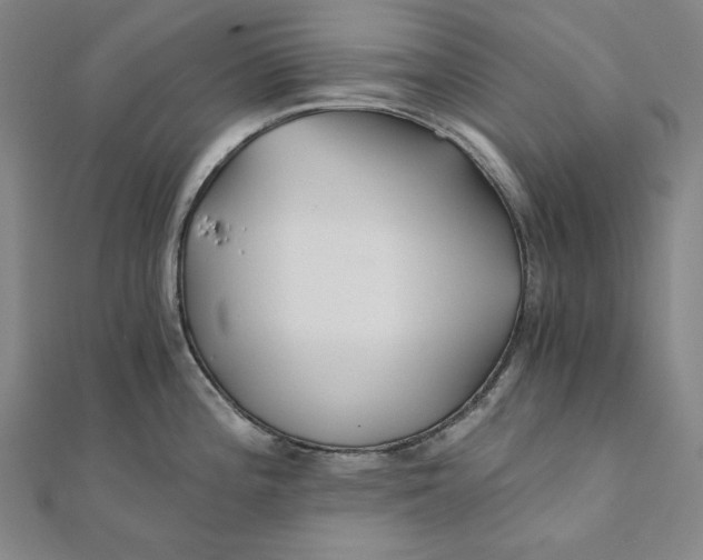 X0000111511196200908041216