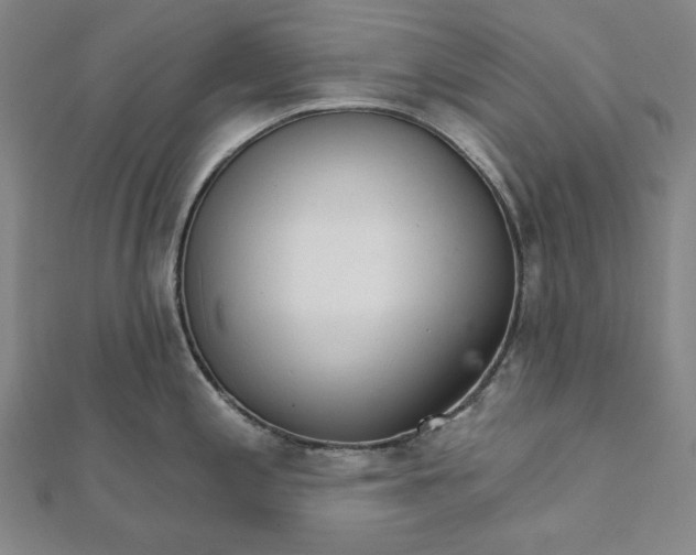 X0000111511197200908041216