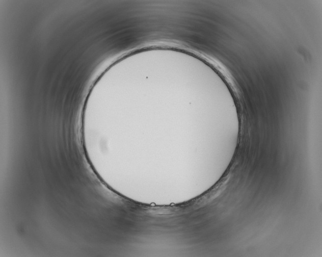 X0000111511199200908041216