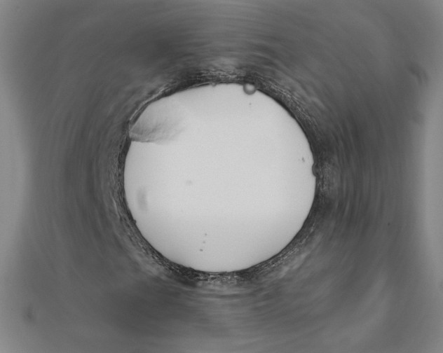 X0000111511201200908041215
