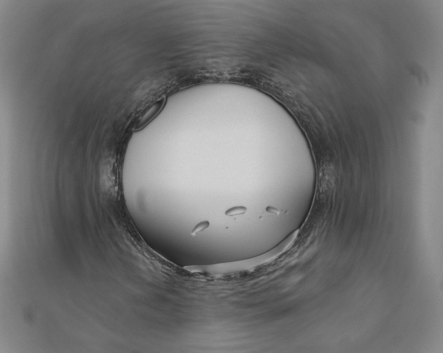 X0000111511202200908041215